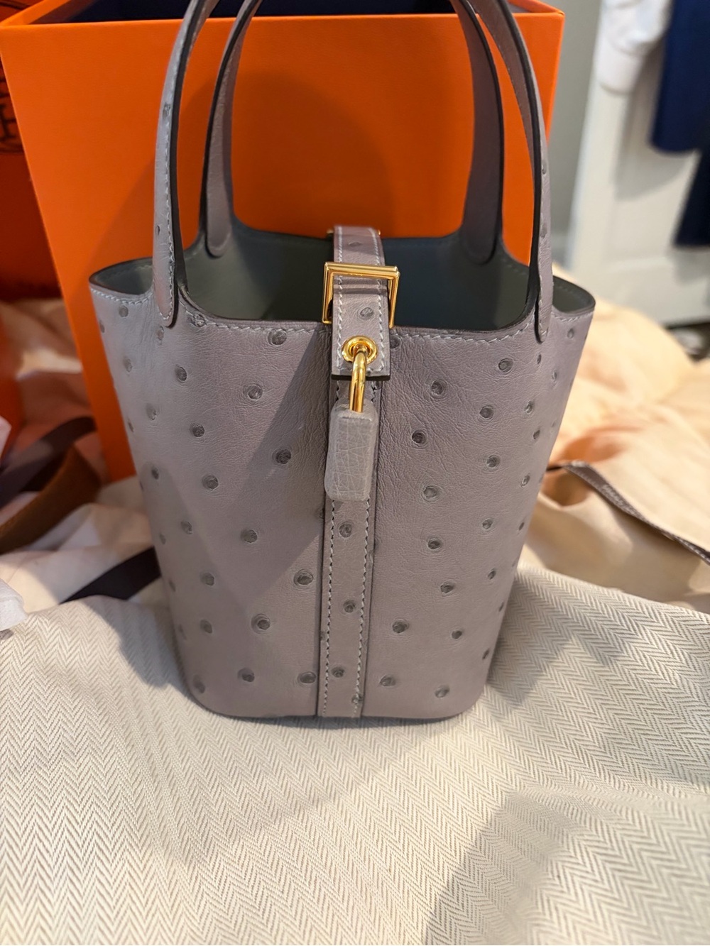 Hermes Grey Misty Ostrich micro Picotin